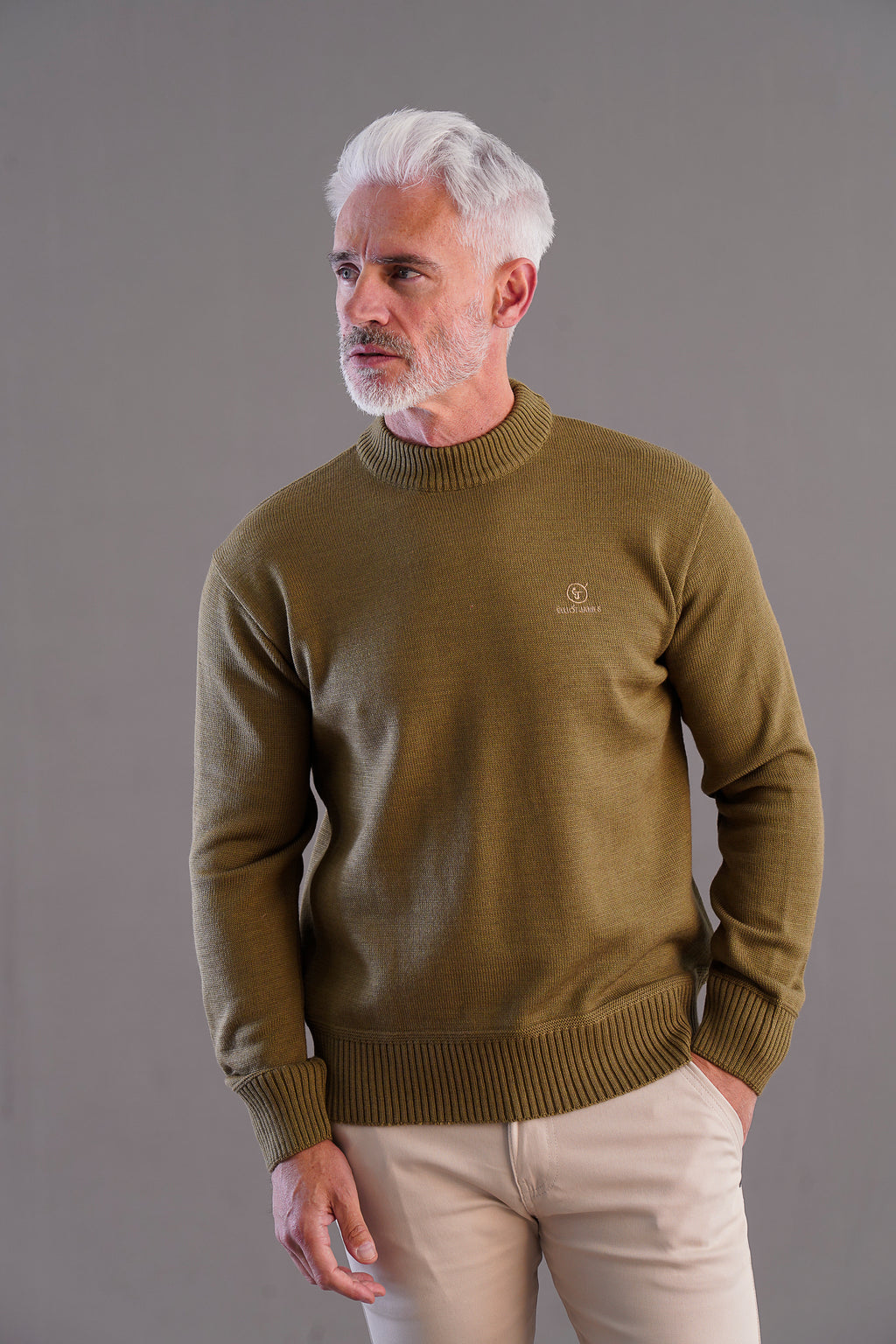 Pull Ras Du Cou Stef